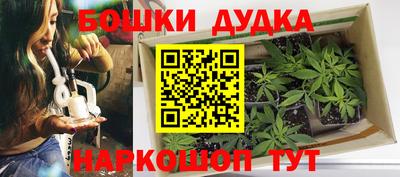 PSILOCYBIN Будённовск