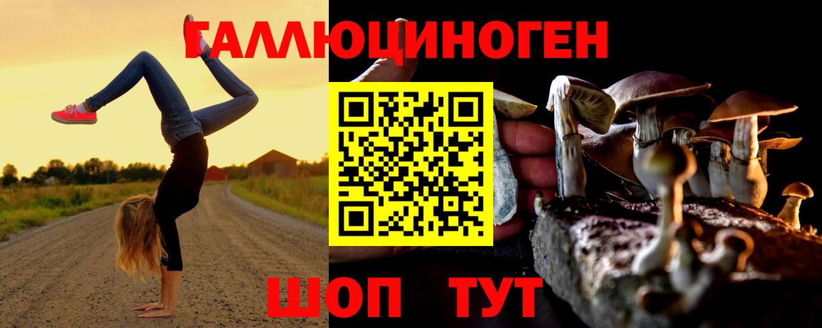 Галлюциногенные грибы прущие грибы  Вход с VPN  Черногорск 